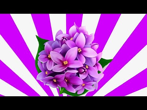 Why do Flowers bloom in Spring?