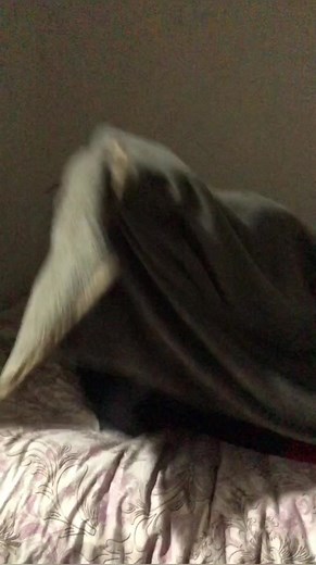 Mastering the Pull-Up Bar: Tips for Beginners