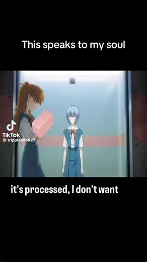 Anime: Neon Genesis Evangelion | is this ham processed