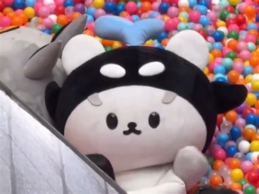 被这个视角的san萌疯了