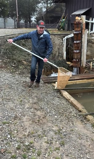 Raising Quality Trout at Spring Valley Fish Farm