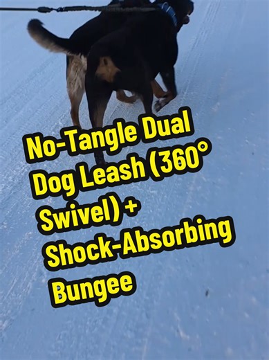 Walking two dogs shouldn’t feel like a wrestling match. This dual dog leash uses a 360° swivel to stop tangles and a shock-absorbing bungee to soften pulling so walks feel smoother and calmer. Great for everyday two-dog walks, big or small energy combos.@iYoShop US #dogtok #dogwalking #dogleash #dualdogleash #petproducts
