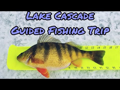 Lake Cascade Guided Fishing Trip (Home of the Record Perch)