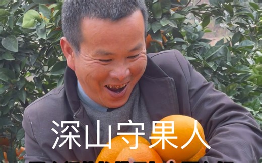 一个橙子引发的故事…