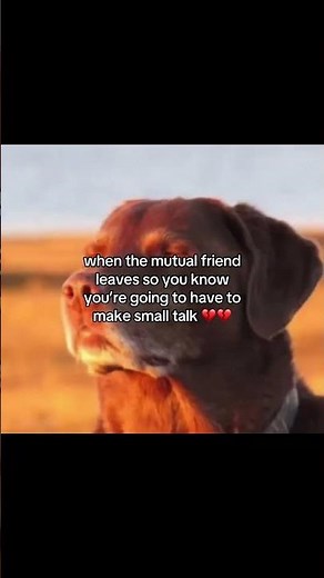 SO UM HOWS THE WEATHER 💀