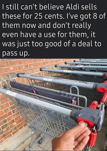 108K views · 216 reactions | Sarcasm Meets Humor on Reels | Facebook