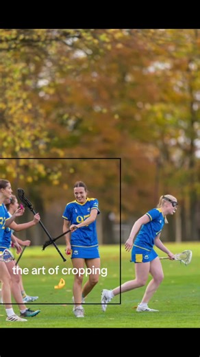 The Art of Cropping in Photography Techniques