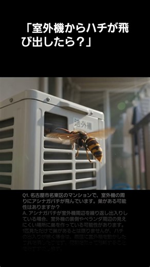 【名東区・一社】室外機からハチが飛び出した！ベランダのアシナガバチに注意｜ライジング・サン害虫駆除