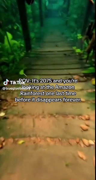 Explore the Beauty and Urgency of Sustainable Makeup and the Environment