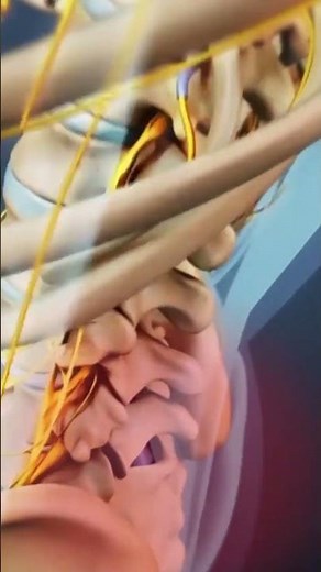 What happens to spine movement after an L5-S1 fusion?