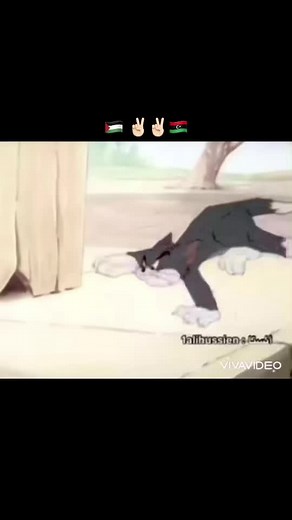 Animated Cat and Dog Adventures in Peaceful Play