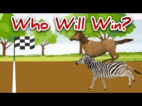 Zebra vs Horse Racing Animation - Animal Action