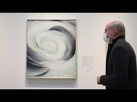Georgia O'Keeffe Museum Virtual Tour