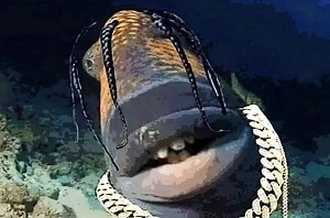 Travis Scott Fish Meme Generator - Piñata Farms - The best meme generator and meme maker for video & image memes