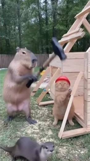 HAMMER FAIL Chaos 🛠️ #shorts