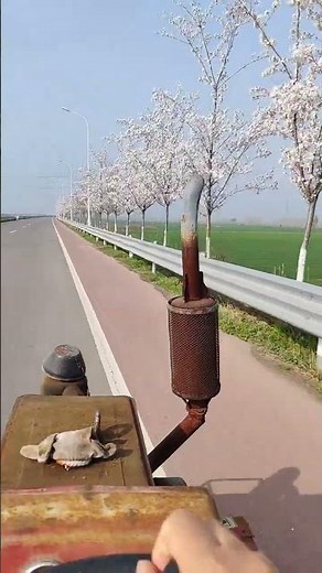 10 Easy Chinese Dishes for Beginners - Quick & Delicious