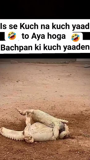 Jaan meri jaane man bachpan ka piyar mera bhul nahi jana re kiun dosto | Irfan Ahmad