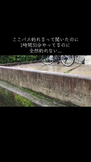 バス釣りで釣れない時の対策：1時間30分釣れない原因と確認点