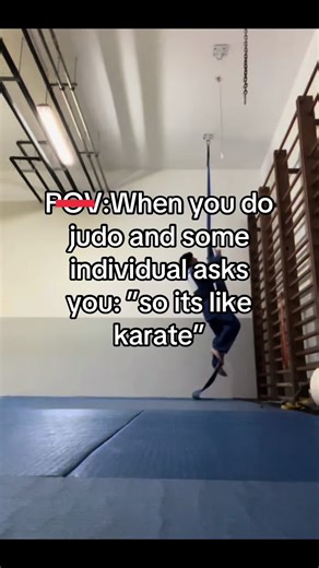 Understanding the Difference Between Judo and Karate