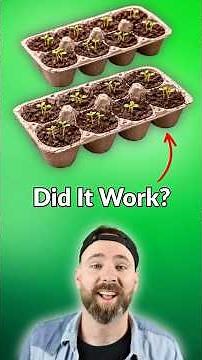 How To Start Seeds In Egg Cartons #shorts #gardening