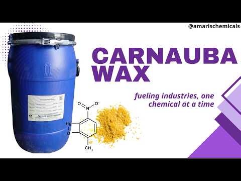 ✨ Carnauba Wax: Nature’s Premium Wax for Superior Protection & Shine 🌴