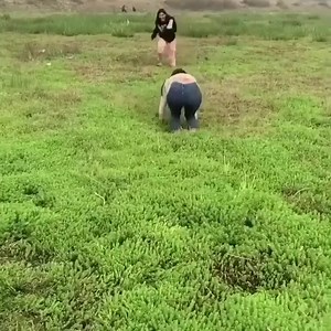 Soil liquefaction, also called earthquake liquefaction, ground failure or loss of strength that causes otherwise solid soil to behave temporarily as a viscous liquid. #geotechnicalengineering #homerenovations #renovation #modernhome #architecture #arquitectura #engineering #ingenieriaestructural #civilengineering #civilengineer #CivilEngArchi #civilengarchitect #homedesigns #structuralengineering #columns #ingenieracurnivil #structure #furniture #homedecor #calculoestrutural #architecturelovers 