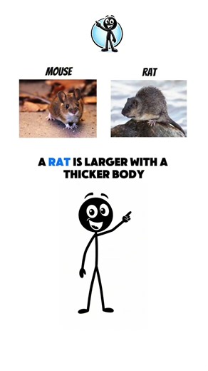 What's The Difference? Tell The Difference??? #DidYouKnow #stickeeman #learning