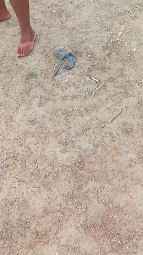 1.5M views · 10K reactions | Ball Set Rohu Fishing | #reels #viral #fishing #fishingvideos #trendingreels #shorts #fish | Chennai Fishing Club | Facebook