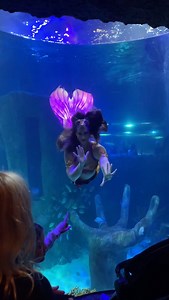 I think I have unlocked the mermaid dream job! It’s so magical performing with @wwmermaids! Catch me back at @sealife_orlando the first two weekends in May! 🧜‍♀️✨ Tails from @finfolkproductions #verobeachmermaid #aquarium #professionalmermaid #mermaid #mermaidtail #wwmermaids #finfolkproductions #mermaidlife #adayinthelife | Vero Beach Mermaid