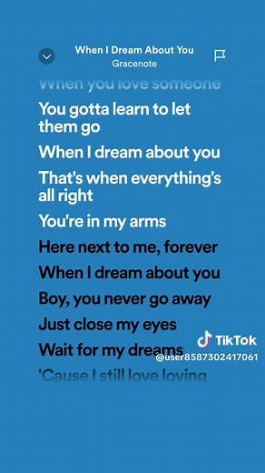 When I Dream About You - Gracenote Lyrics