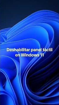 Deshabilitar panel táctil en Windows 11 con lectores de pantalla