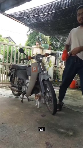 Restoring a Vintage Honda C70 Motorcycle