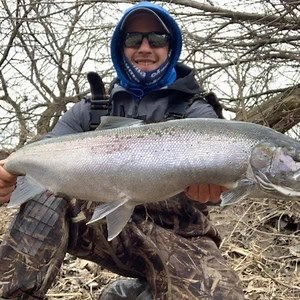 12 reactions | Sheboygan steelhead report... There are still steelhead in the tribs and we are seeing most of the late wintering Browns dropping into the lake, which means the spring pattern Brown trout fishing is here as well! Walleyes are peaking in their spawning rituals..so see our website to check out our Winter Blues promo to capitalize on rate benefits through April and touching into May! Wolfpackadventures.com | WOLF PACK ADVENTURES | Facebook