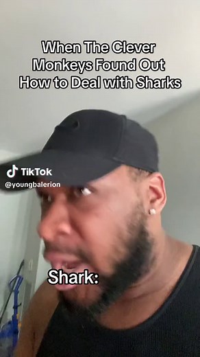 Get Rotated - Funny Shark Video | Animals on TikTok