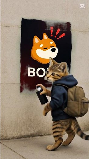 The BONK meme evolution