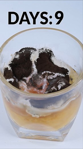 24K views · 111 reactions | Rotting Juice in Timelapse 練#satisfying #decay #timelapse | Time Treats | Facebook