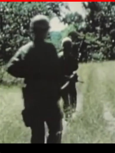 On #K9VeteransDay, we're honoring all the dogs who have protected and served. You can learn more about some of these dogs and their stories in the documentary, Forgotten Heroes. Stream the documentary now on DogHouse TV Lifestyle and learn about the untold stories of the dogs who saved American soldiers in Vietnam. Stream it on our YouTube channel. #dogs #germanshepherd #k9 #police #military #militarydog #policedog #cutedog #brave #protectandserve #protected #army #vietnam #veteran #savinglives