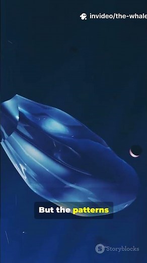 The Binary Code Hidden in Whale Songs