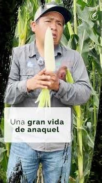 PREDATOR ELOTERO: MÁS RENDIMIENTO Y MENOS GASTO DE AGUA | ASPROS.