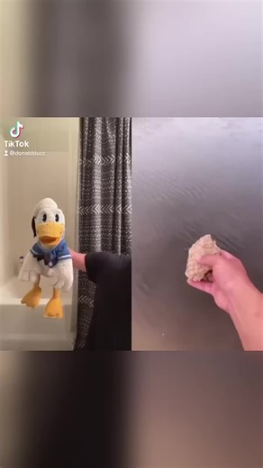 Donald Ducc Doesn't Understand