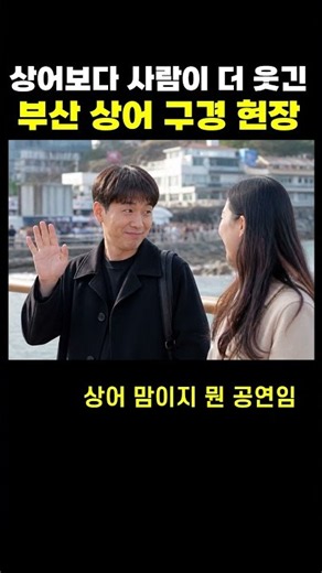 상어보다 구경꾼이 더 웃긴 부산 북항 상어 현장 #shorts