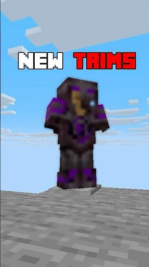 The CRAZIEST Trim Mod in Minecraft #minecraft