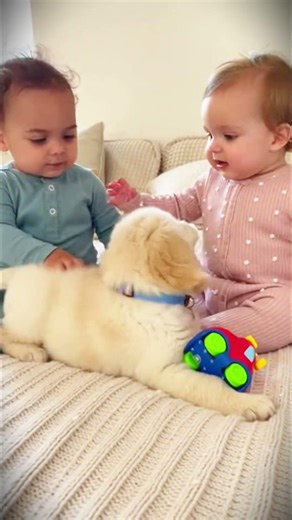 Hidden Babies Surprise + Puppy Reveal 🐶💖 | Viral Cutest Moment