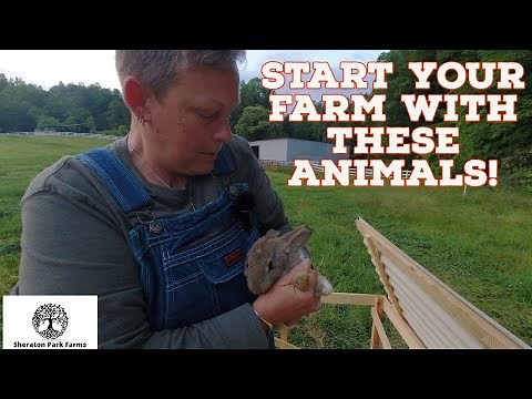 EASY Beginner Farm Enterprise - Pastured Rabbit