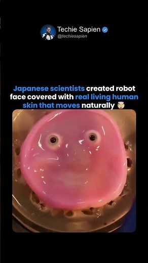 Japanese Scientists Create Robot Face Using Living Human Skin 🤯🇯🇵