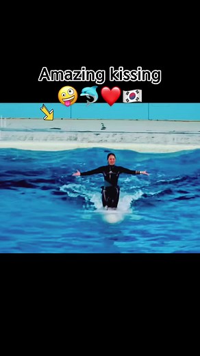 Heartwarming Dolphin and Human Kissing Moment