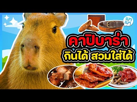 คาปิบาร่ากินได้ สวมใส่ได้