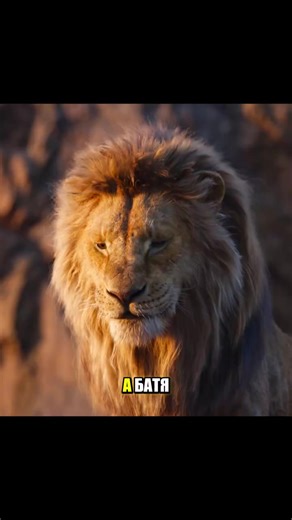 Exploring the TikTok Film & TV Competition