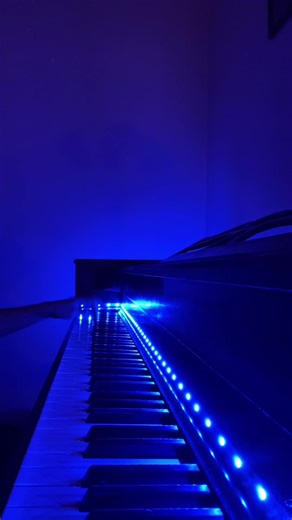 Coffin Dance Cover by Peter Buka