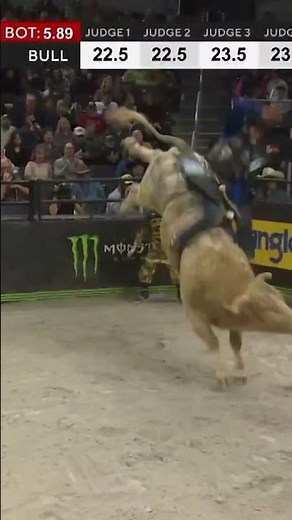 2024 Indianapolis gave us one of the craziest wrecks we've ever seen 🤯